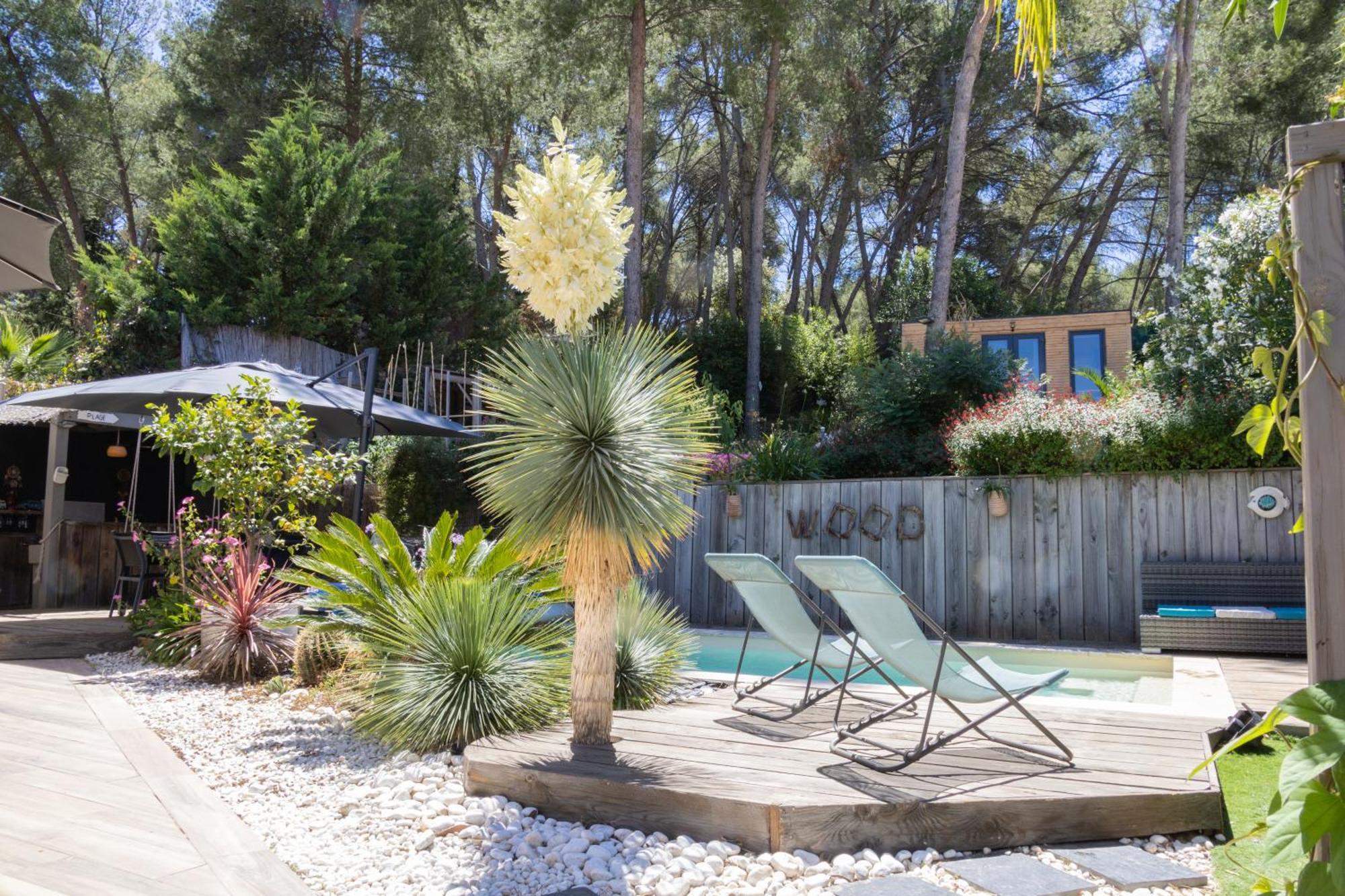 Charmant Studio Lodge Climatise Avec Jardin Et Vue Sur Le Pic Saint Loup Jacou Esterno foto